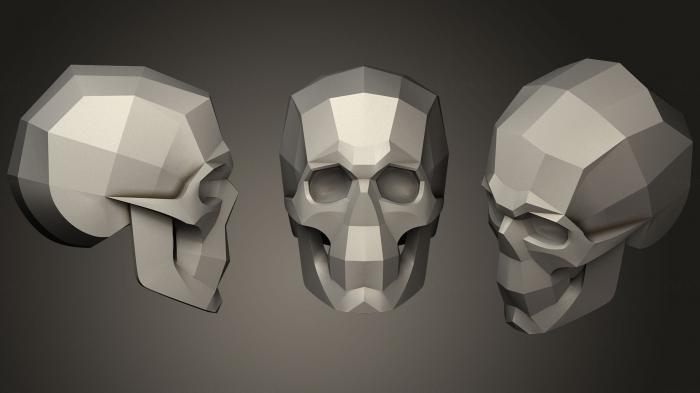 Anatomy of skeletons and skulls (ANTM_1051) 3D model for CNC machine
